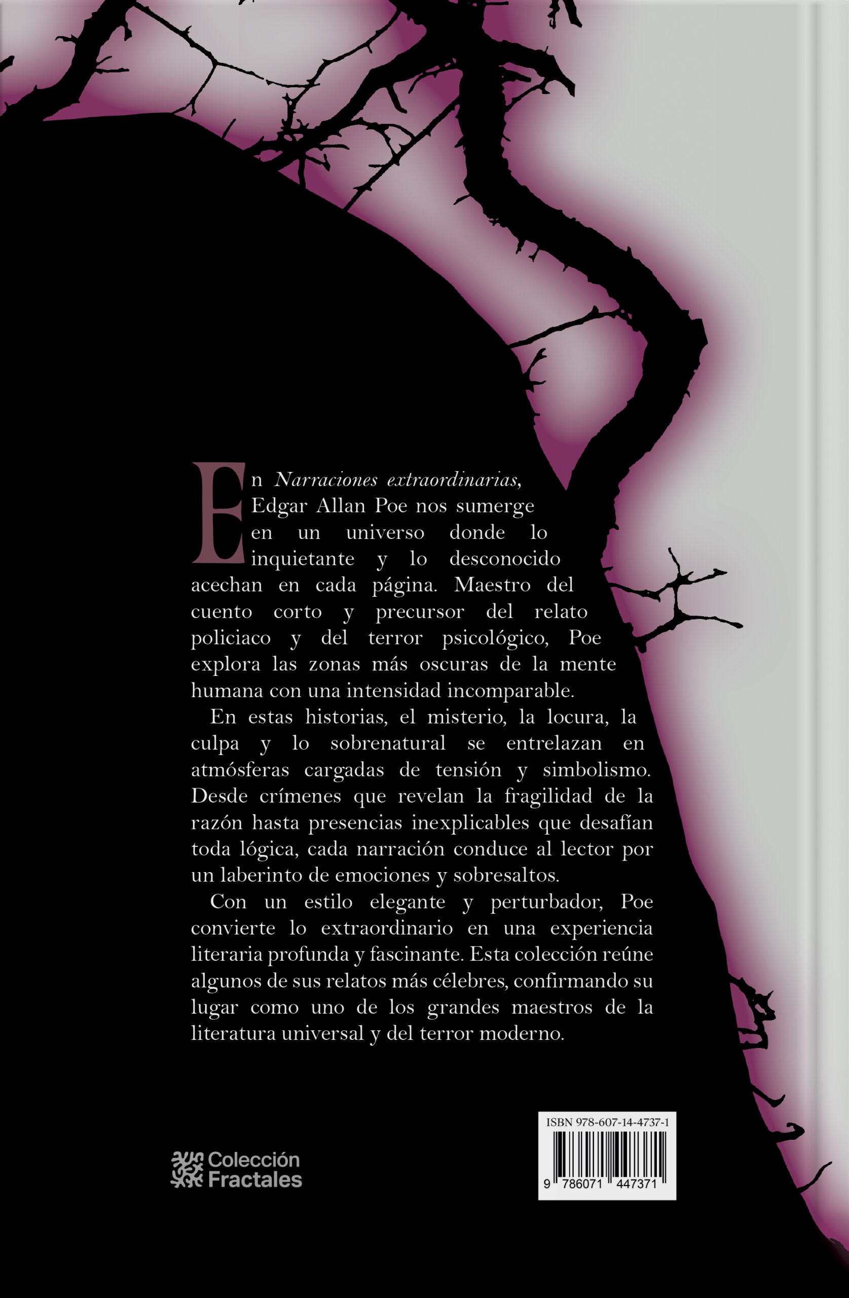 Narraciones Extraordinarias de Edgar Allan Poe - Imagen 2